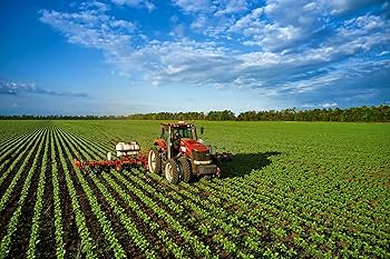 Dealer networking event